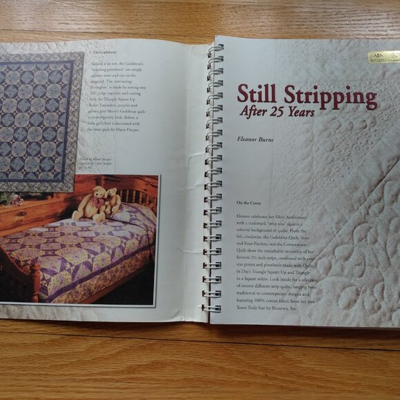 Quilting Pattern Book "Still Stripping" by Eleanor Burns Quilt in a Day - Picture 3 of 11